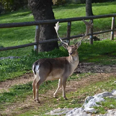 아파트호텔 Le Dimore Della Via Lattea 4*